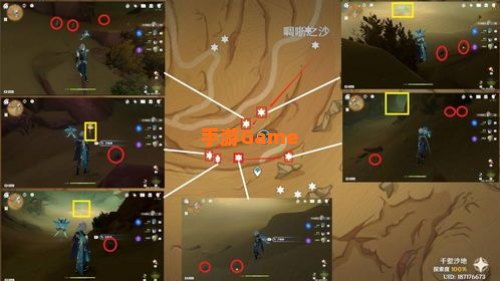沙脂蛹采集地点