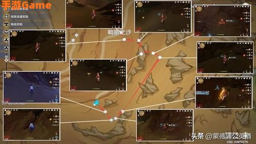 沙脂蛹采集地点