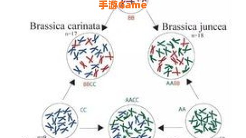 芥菜是我国重要的经济作物