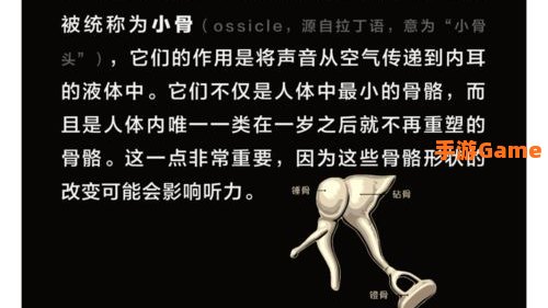 人的身高在一天中 什么时候最高?