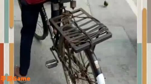 抢椰子